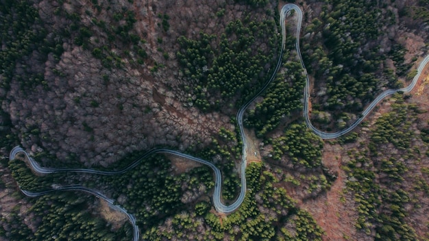 Free Photo aerial view of a winding road surrounded by greens and trees