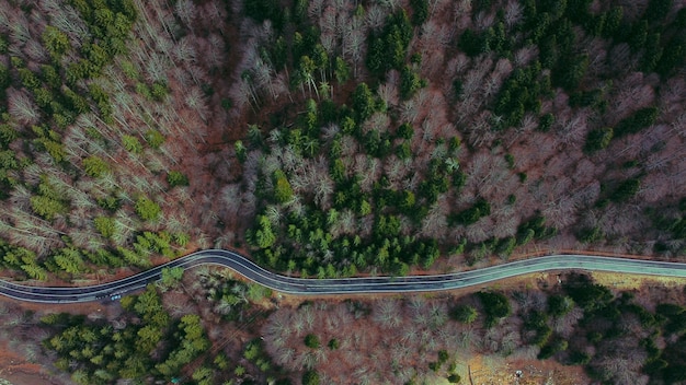 Free photo aerial view of a winding road surrounded by greens and trees