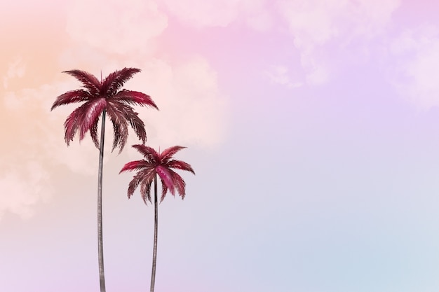 Free Photo aesthetic background with palm tree