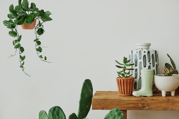 Free photo aesthetic home with cactus and plants on a wooden shelf