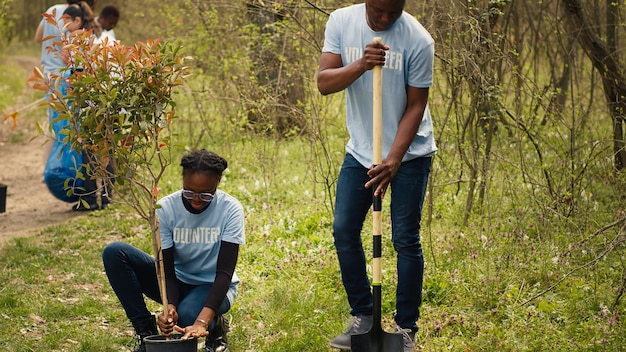 African american volunteers team digging holes and planting trees in a forest