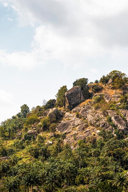 African nature landscape with mountain