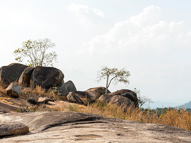 Free photo african nature scenery with clear sky and rocks