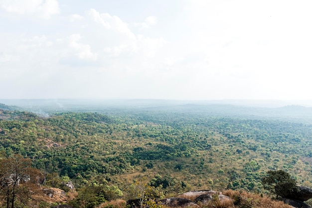 Free photo african nature scenery with vegetation