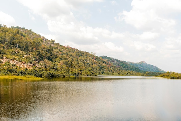 Free photo african nature view with lake and vegetation