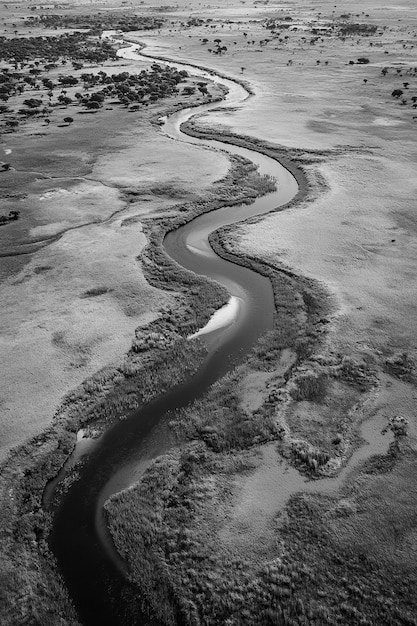 Free photo african savannah scene in black and white