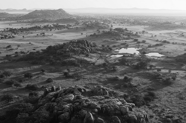 Free photo african savannah scene in black and white