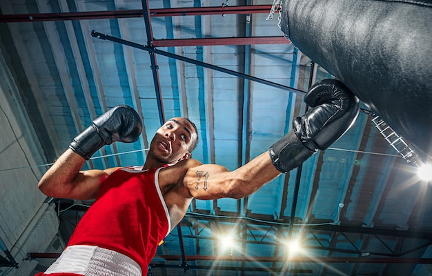 Free Photo afro american male boxer.