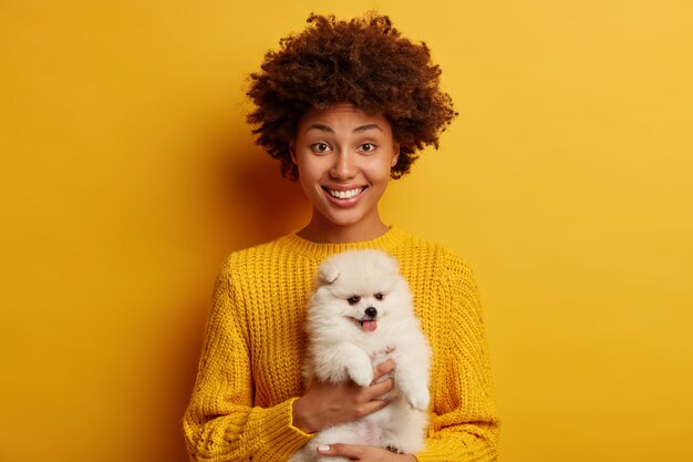 Afro American woman holds dog of breed Pomeranian Spitz, likes miniature fluffy pet, poses with cute animal against vivid yellow background