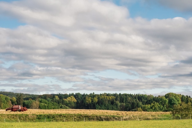 Free Photo agricultural field surrounded by green trees under a cloudy sky