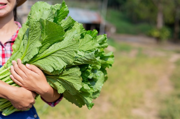 Agriculture harvesting products.