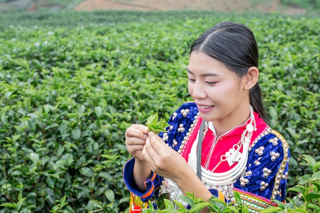 Agriculture of hilltribe women