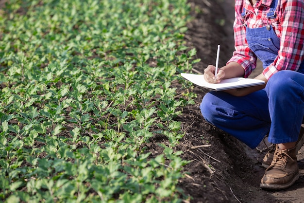 Agriculture is researching flower varieties, modern agricultural concepts.