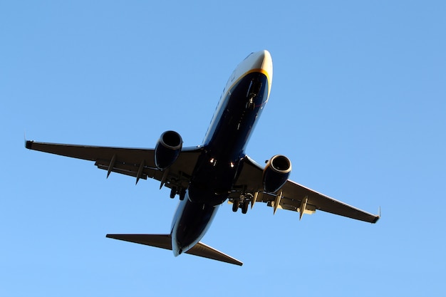 Free photo airplane in the sky