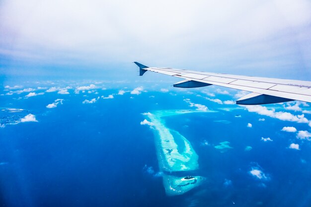 Airplane wing