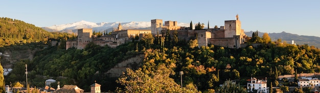 Free photo alhambra surrounded by green trees