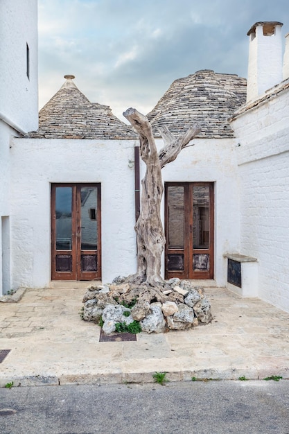 Alluring town of Alberobello with Trulli houses among green plants and flowers, main touristic district, Apulia region, Southern Italy. Typical buildings built with a dry stone walls and conical roofs