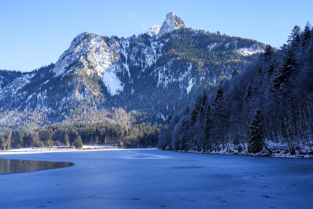 Alpsee 24