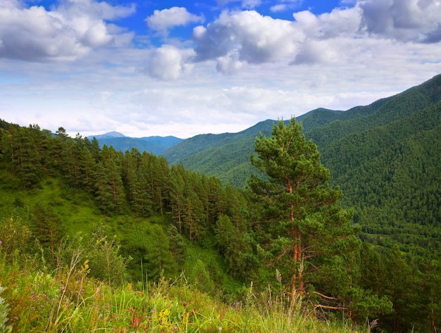 Free photo altai mountains