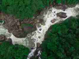 Free photo amazing aerial shot of a river surrounded by beautiful nature