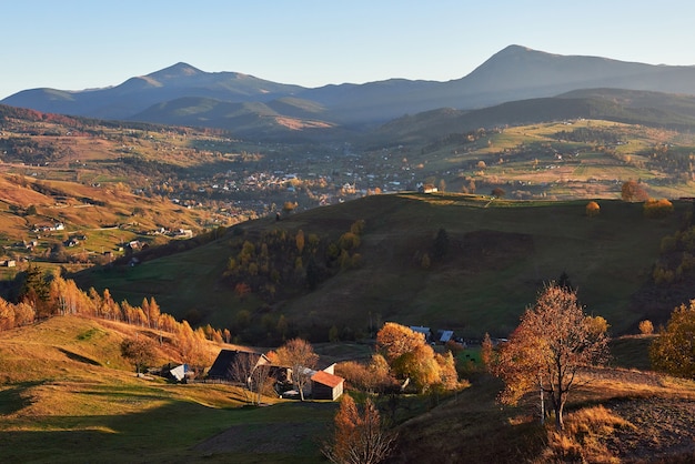 Free photo amazing autumn morning scenery in mountains with meadow and colorful trees on foreground and fog underfoot.