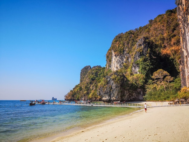 Free photo amazing beach with high rocks