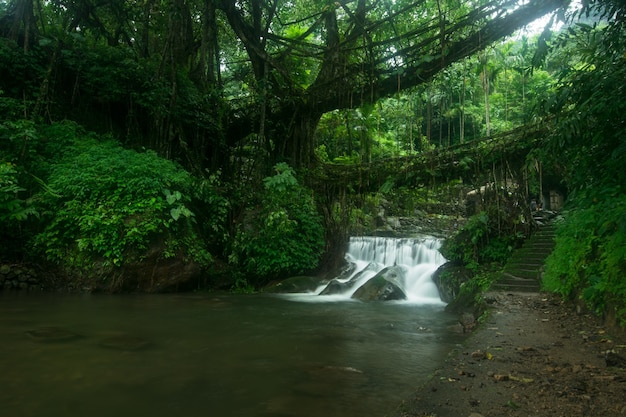 Free photo amazing shot of a small waterfall surrounded by beautiful nature