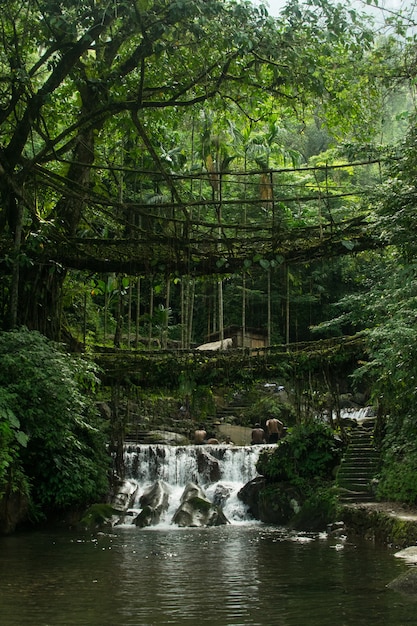 Free photo amazing shot of a waterfall surrounded by beautiful nature on an old bridge foreground