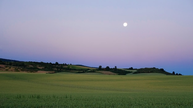 Free Photo amazing summer twilight scenery of the green valley