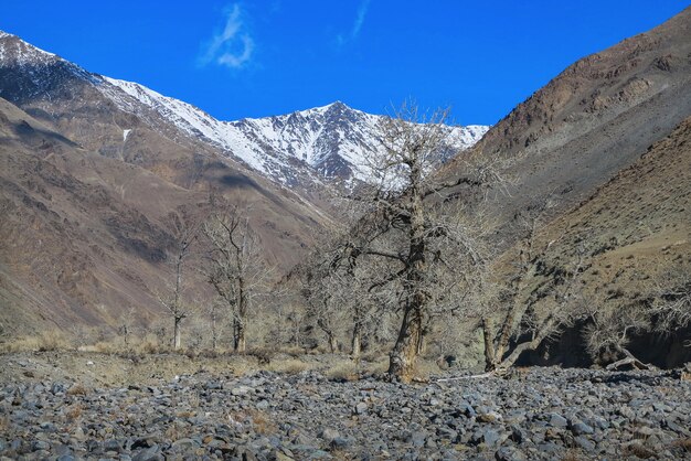 Amazing winter landscape in Mongolia Colorful scene in the mountains Tsagaan Shuvuut National Park 