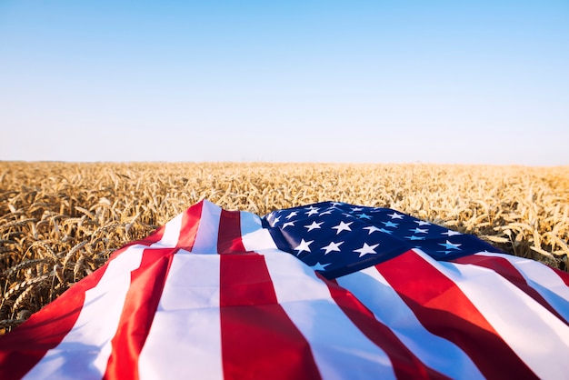 American flag in the wheat field representing strong agriculture, economy and freedom of the United States of America