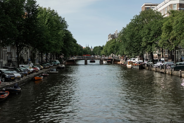 Free photo amsterdam canals, boats walk on water