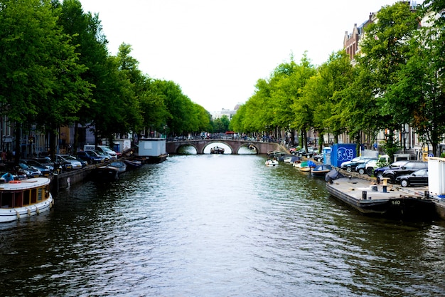 Free photo amsterdam canals, boats walk on water