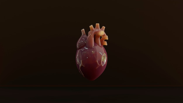 Anatomical heart with brown background