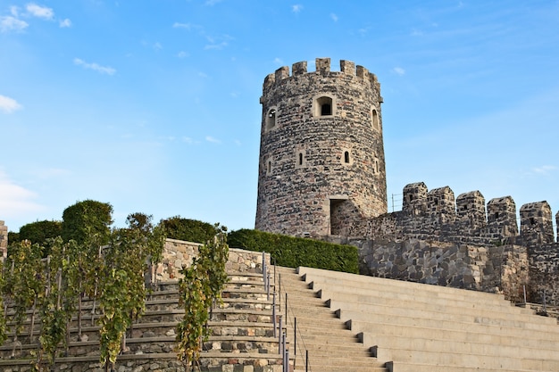 Ancient historic tower touching the clear sky in Georgia