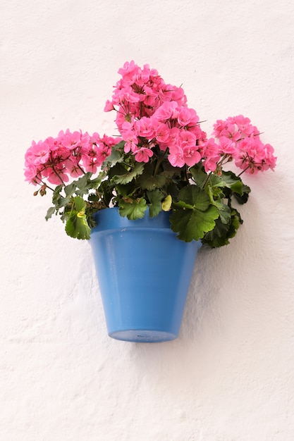 Free photo andalucia spain traditional whitewashed village flower pot wall