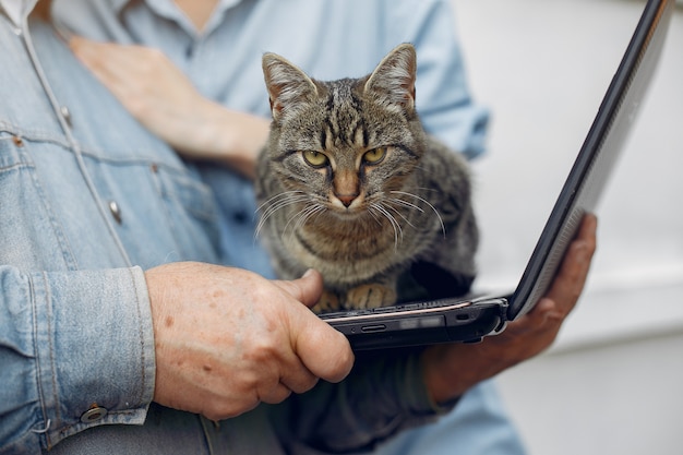 Free Photo angry cat on a laptop