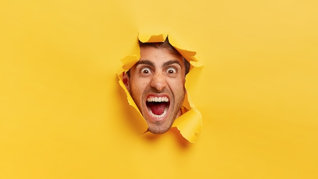 Angry male face through yellow paper hole. Outraged man sticks head through torn background