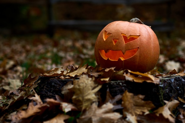 Free photo angry orange pumpkin with scary big eyes and smile. hand made decoration prepared for halloween. celebrating autumn holiday at forest or park near home among leaves.