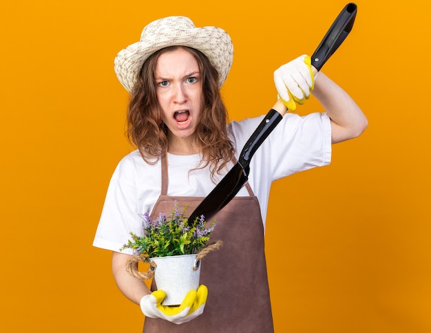 Angry young female gardener wearing gardening hat with gloves holding flower in flowerpot with spade isolated on orange wall