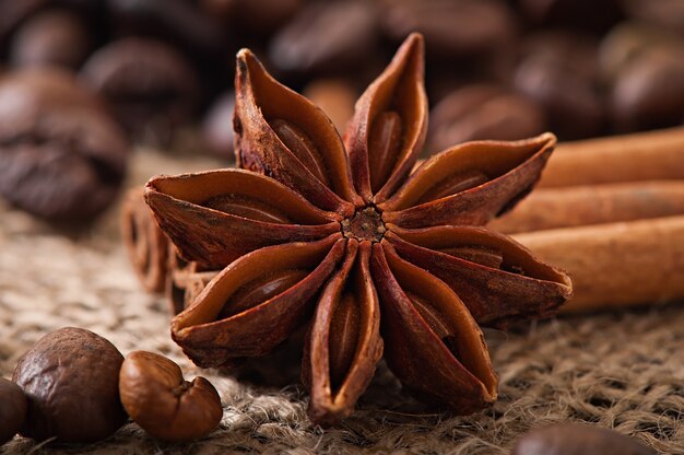 Anise, cinnamon and coffee beans on old wooden background