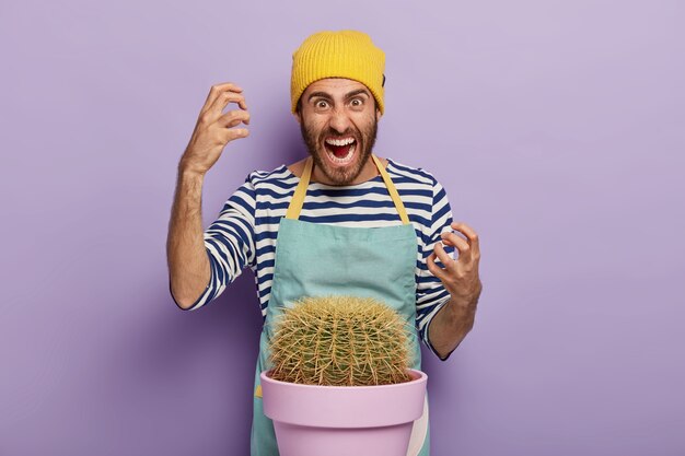 Annoyed man gardener cut finger with cactus thorn, stands near pot, wears casual hat, apron, gestures with anger