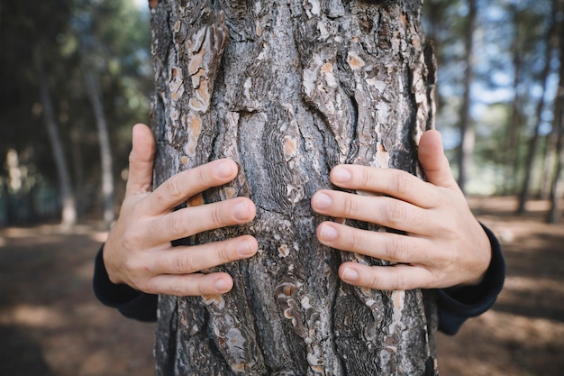 Free Photo anonymous person embracing tree