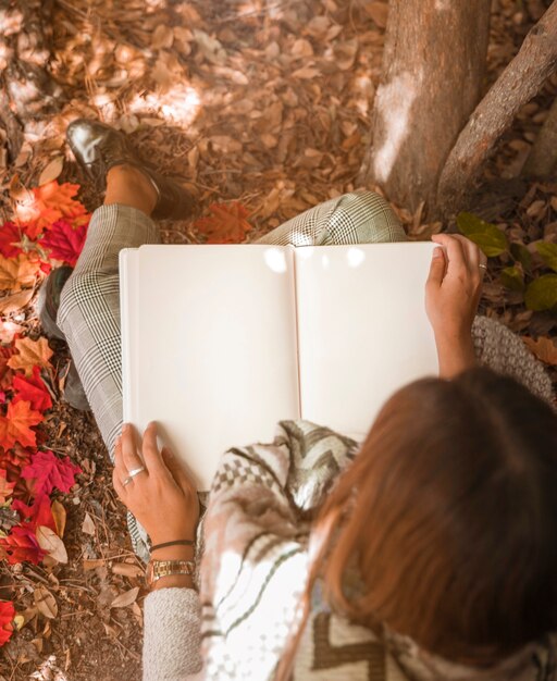 Anonymous woman reading in autumn forest