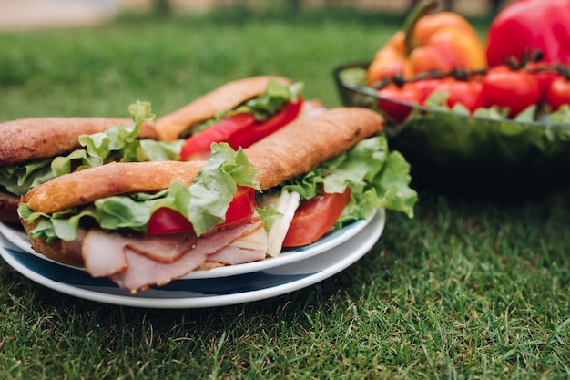 Free Photo appetizing sandwiches on plate on grass.sliced cold meat and bread served on the plate on green summer grass.