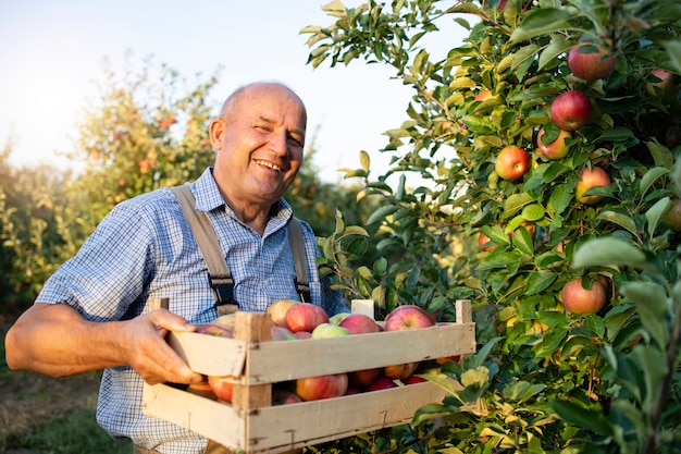 Free photo apple farmer in fruit orchard