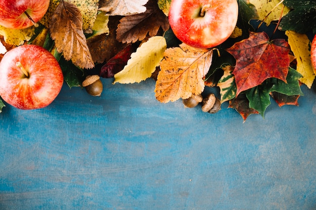 Free Photo apples and foliage in arrangement