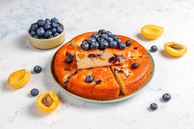 Apricot and blueberry cake with fresh blueberries and apricot fruits.