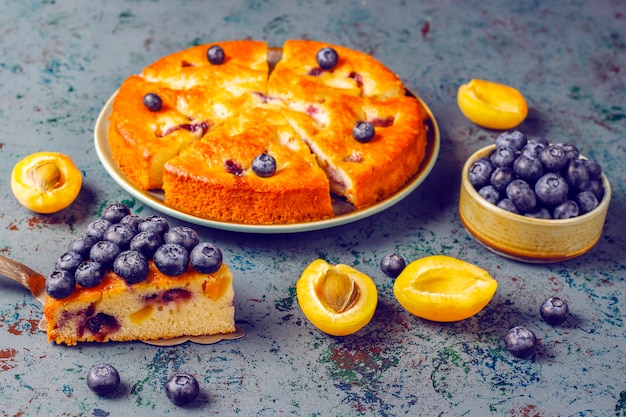 Apricot and blueberry cake with fresh blueberries and apricot fruits.