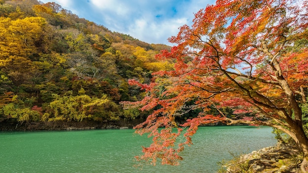 Free photo arashiyama in autumn season along the river in kyoto, japan.